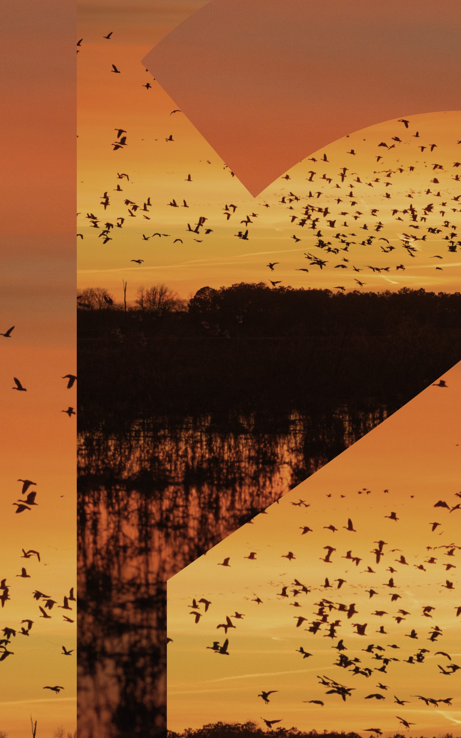 DIVERGE 12 | SITKA Gear