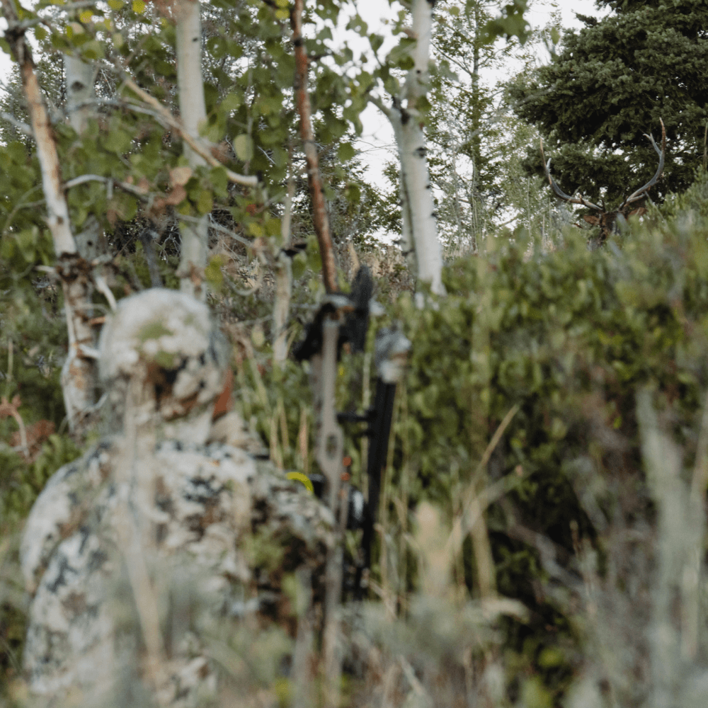 Man in Optifade Subalpine elk hunting sitting in vegetated terrain waiting | SITKA Gear