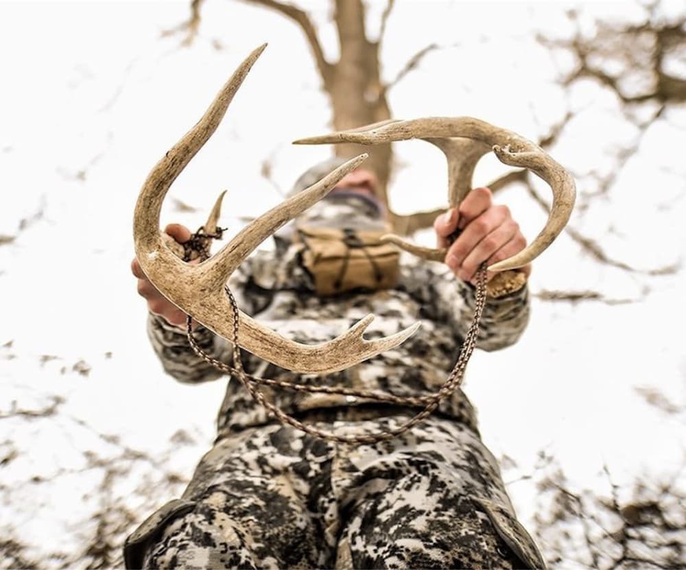 bryan-whitetail