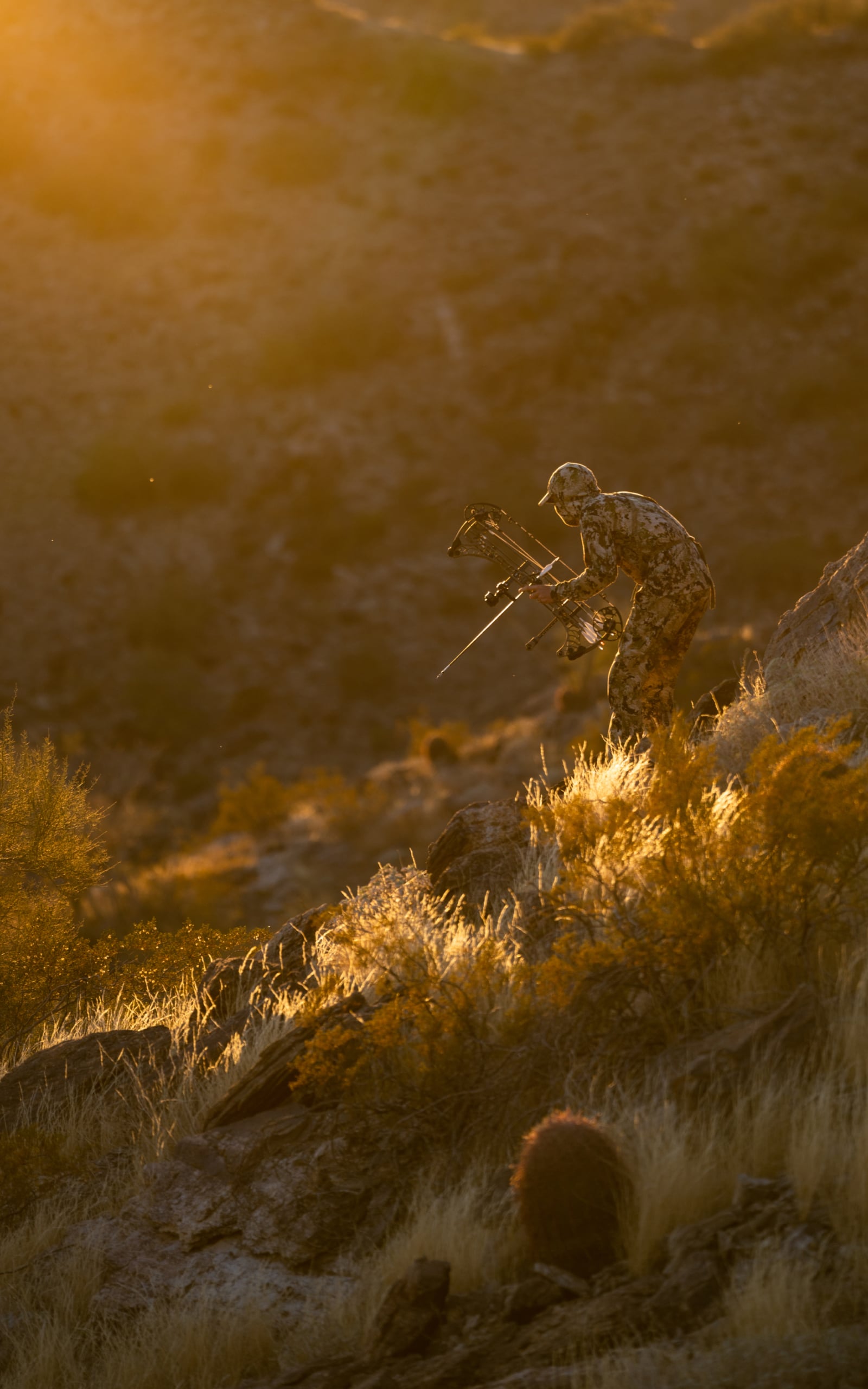 Man stalking mule deer in the Intercept Collection in Optifade Suablpine | SITKA Gear