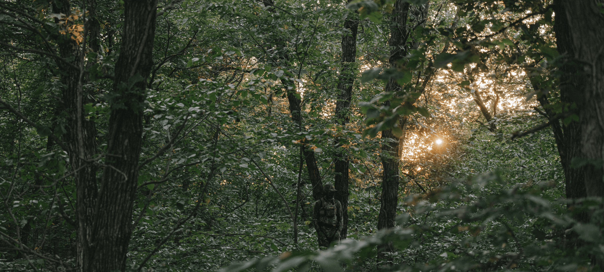 Chris Bee in Optifade Cover in a treestand | SITKA Gear