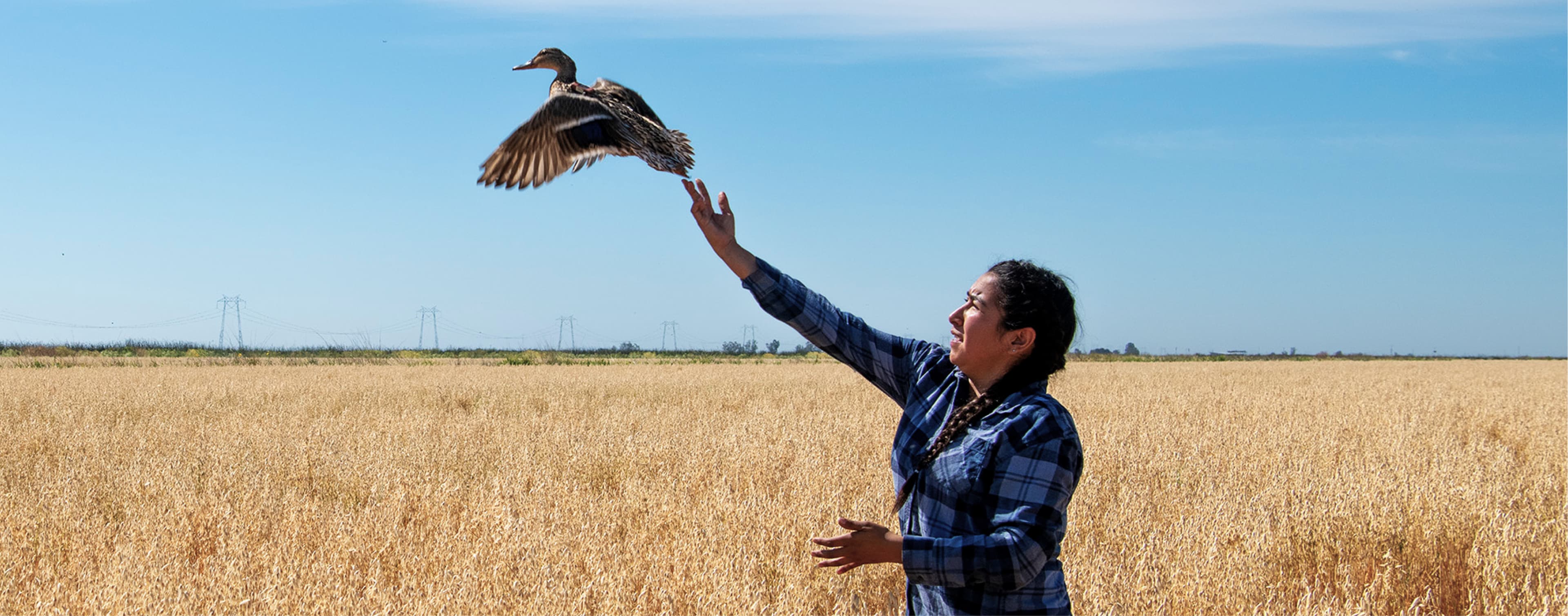 California Waterfowl Egg Recovery | SITKA Gear