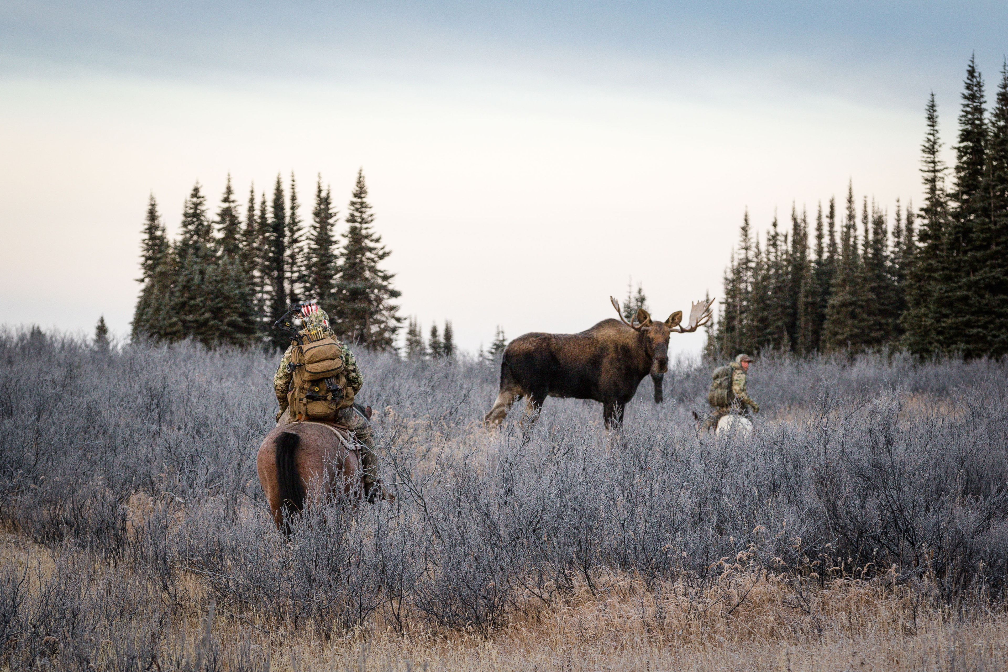 image/jpeg | Behind-The-Shot-with-DIVERGE7-Judges.jpg