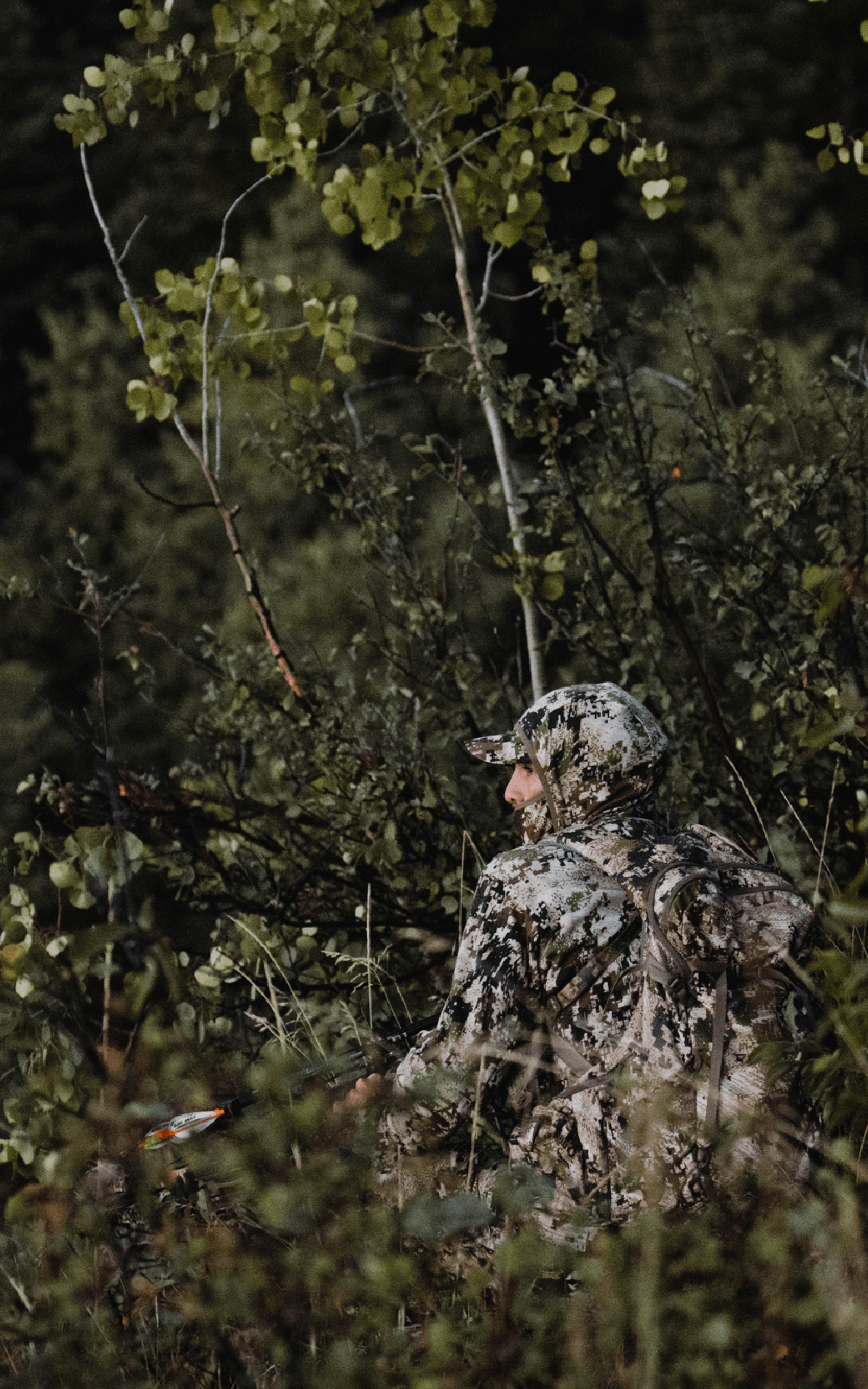 Adam Foss in the Apex Collection stalking in vegetated terrain in Optifade Subalpine | SITKA Gear