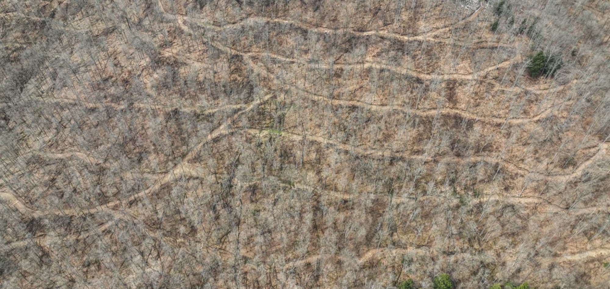 The Big Woods | SITKA Gear