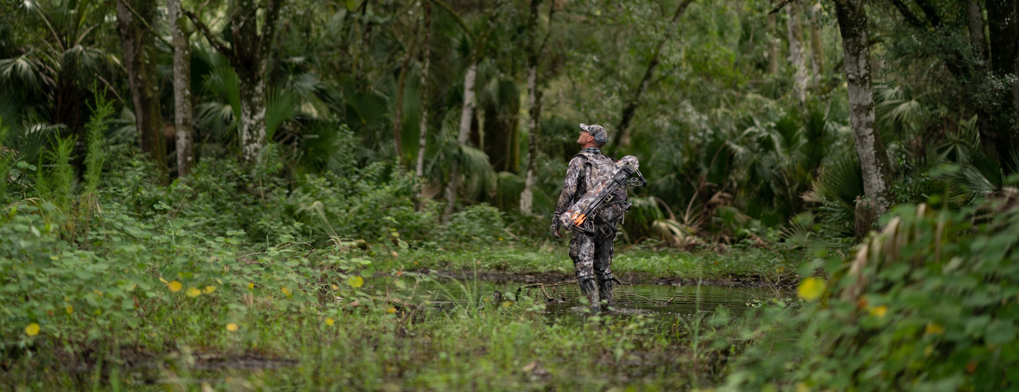 image/jpeg | Planet-Florida.jpg