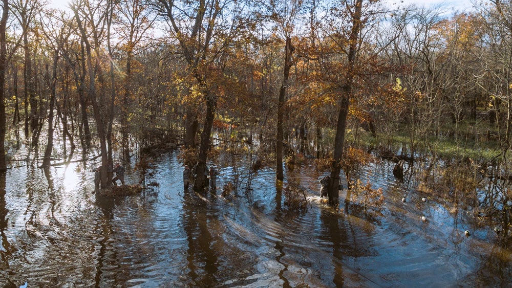 Introducing: Waterfowl Timber