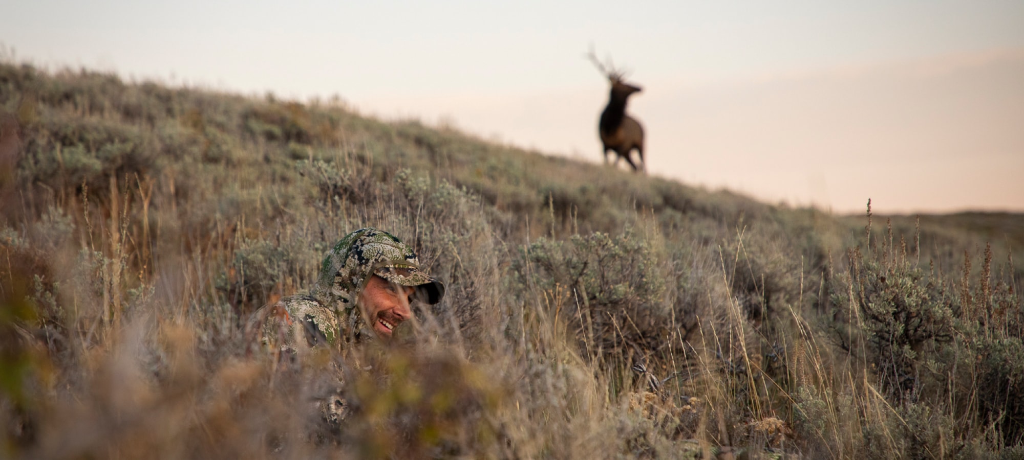 Man blending into enviroment with Optifade Concealment right in front of a bull elk | SITKA Gear