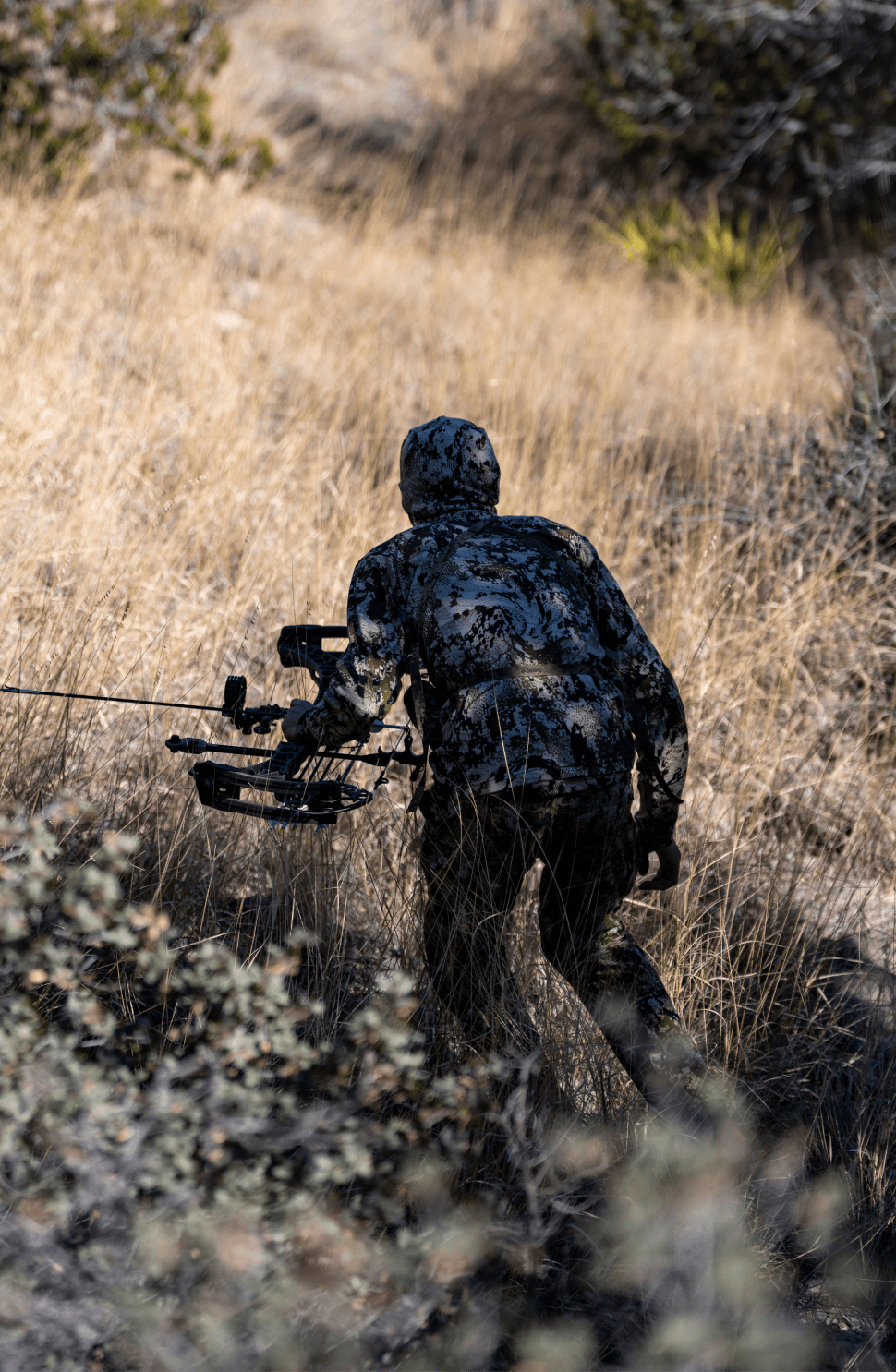 5 Stealth Tactics for Spot-and-Stalk Hunting