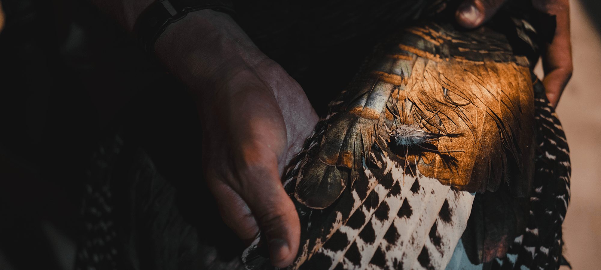 SITKA Feathers To Fins