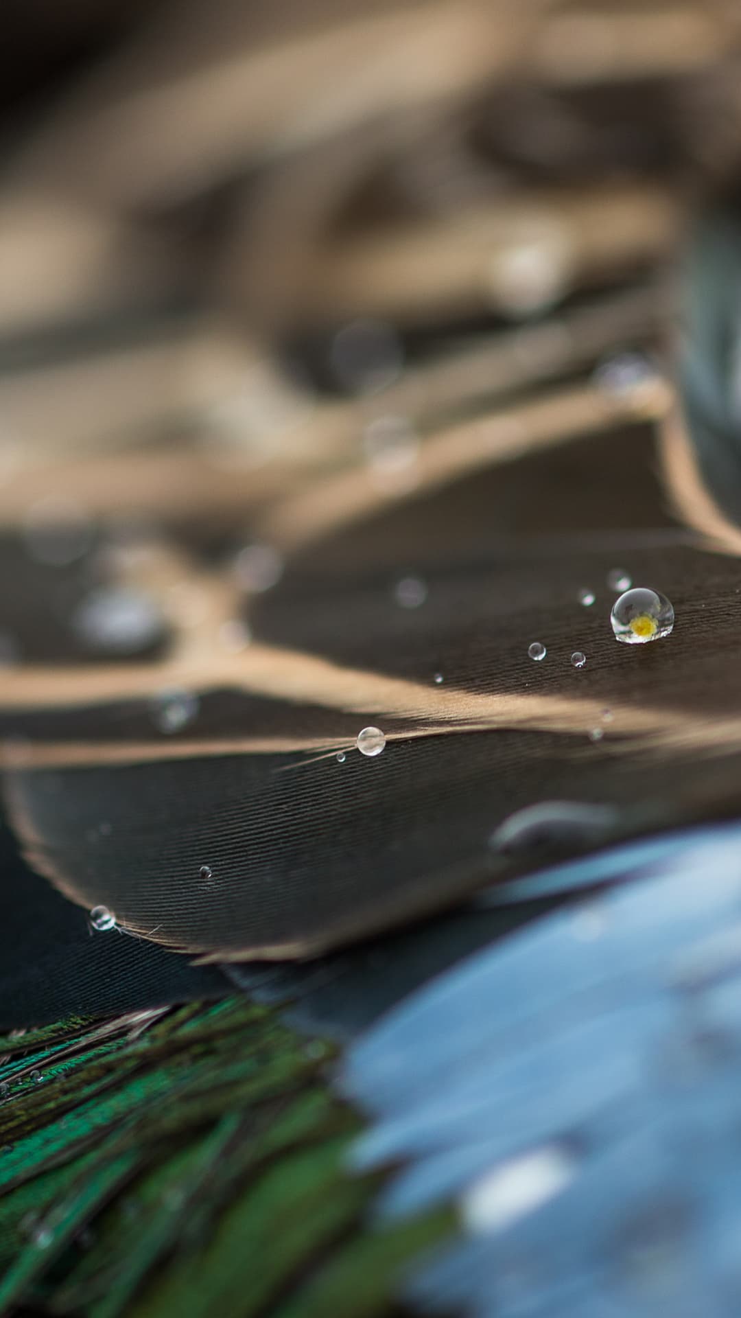 Macro image of a bead of water on a duck feather.