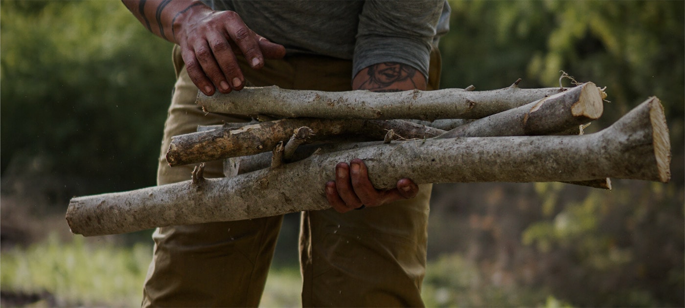 image/jpeg | wilko.jpg