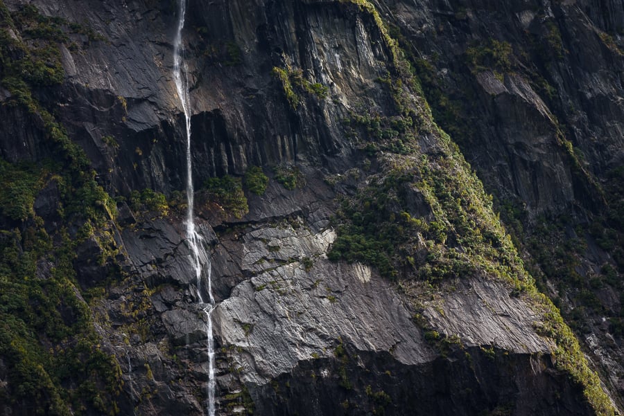 7 Reasons You Need to Hunt New Zealand