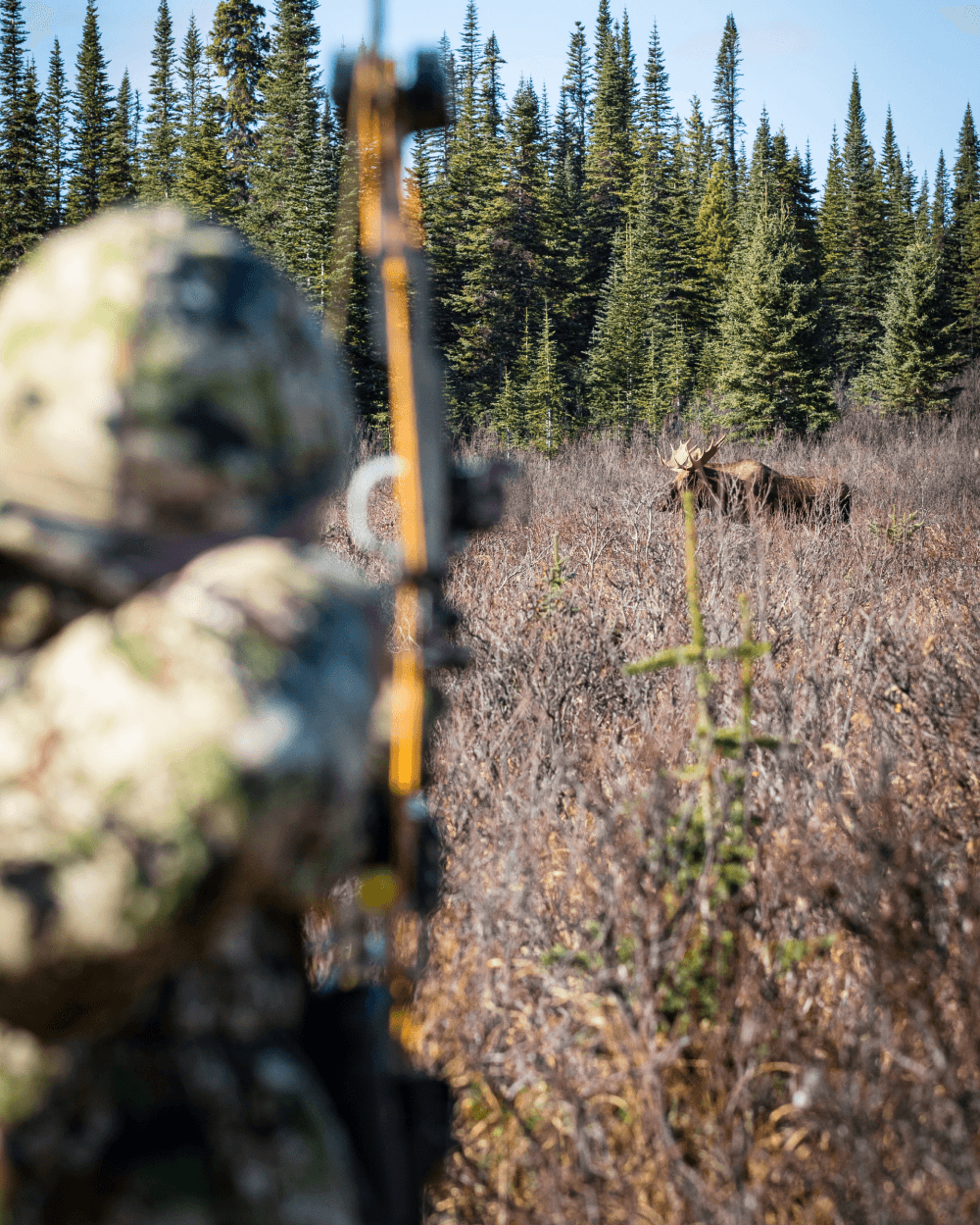 5 Stealth Tactics for Spot-and-Stalk Hunting