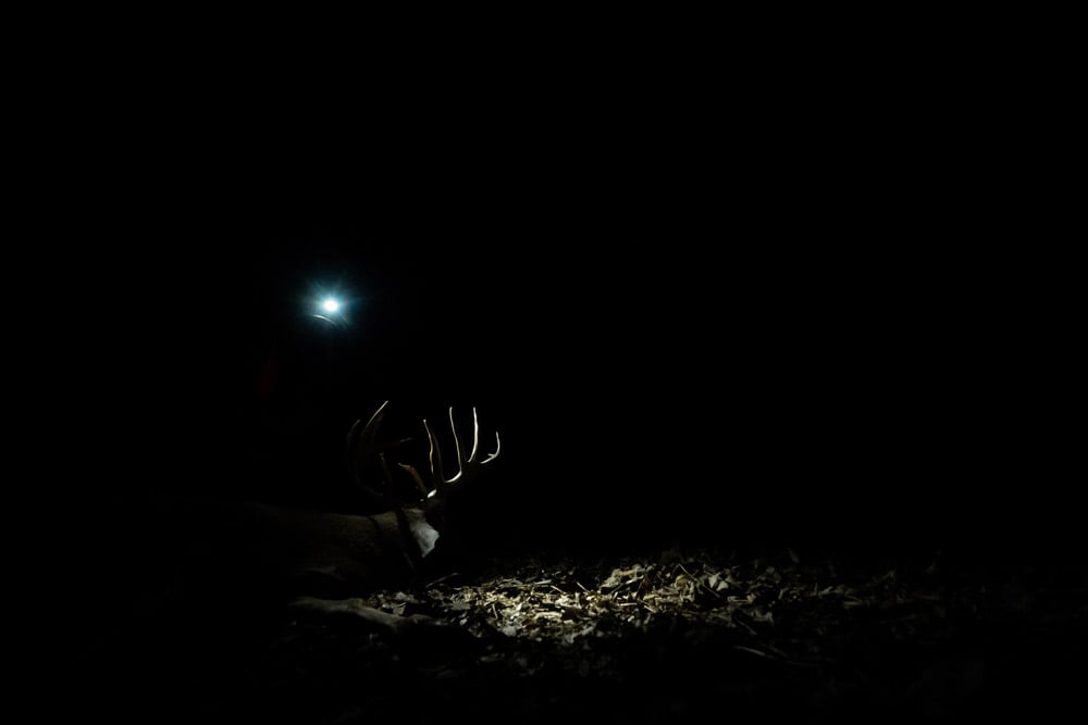 After the Rut is Over: Strategic Tips for Winter Whitetail
