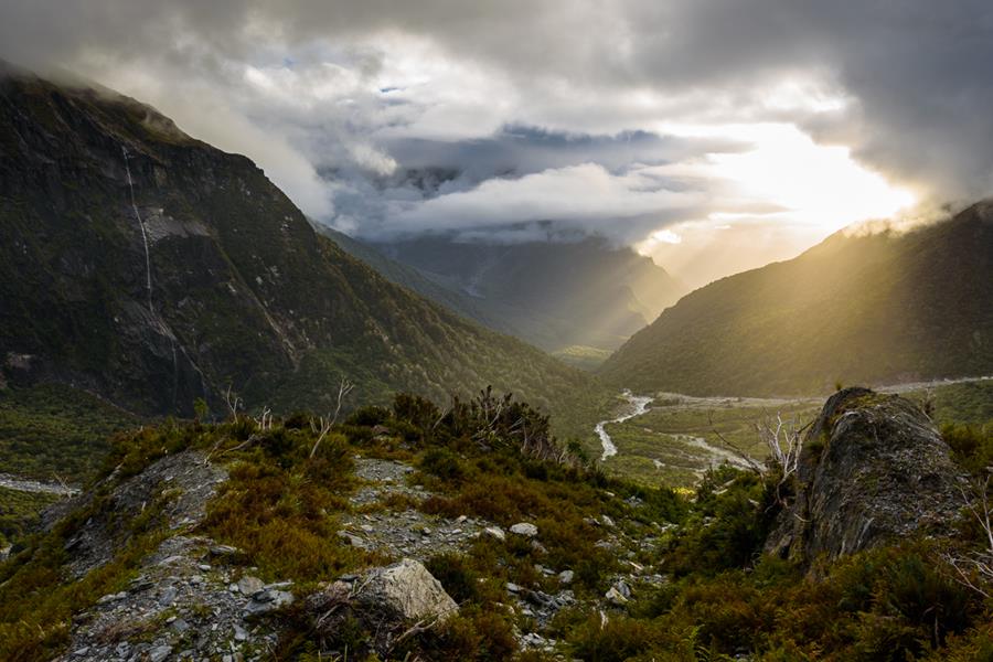7 Reasons You Need to Hunt New Zealand
