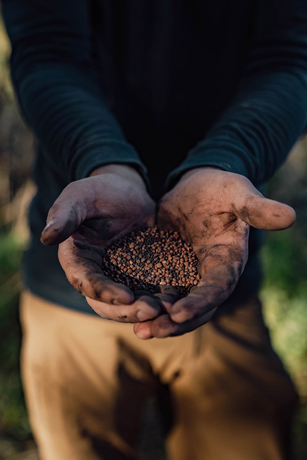 After the Rut is Over: Strategic Tips for Winter Whitetail
