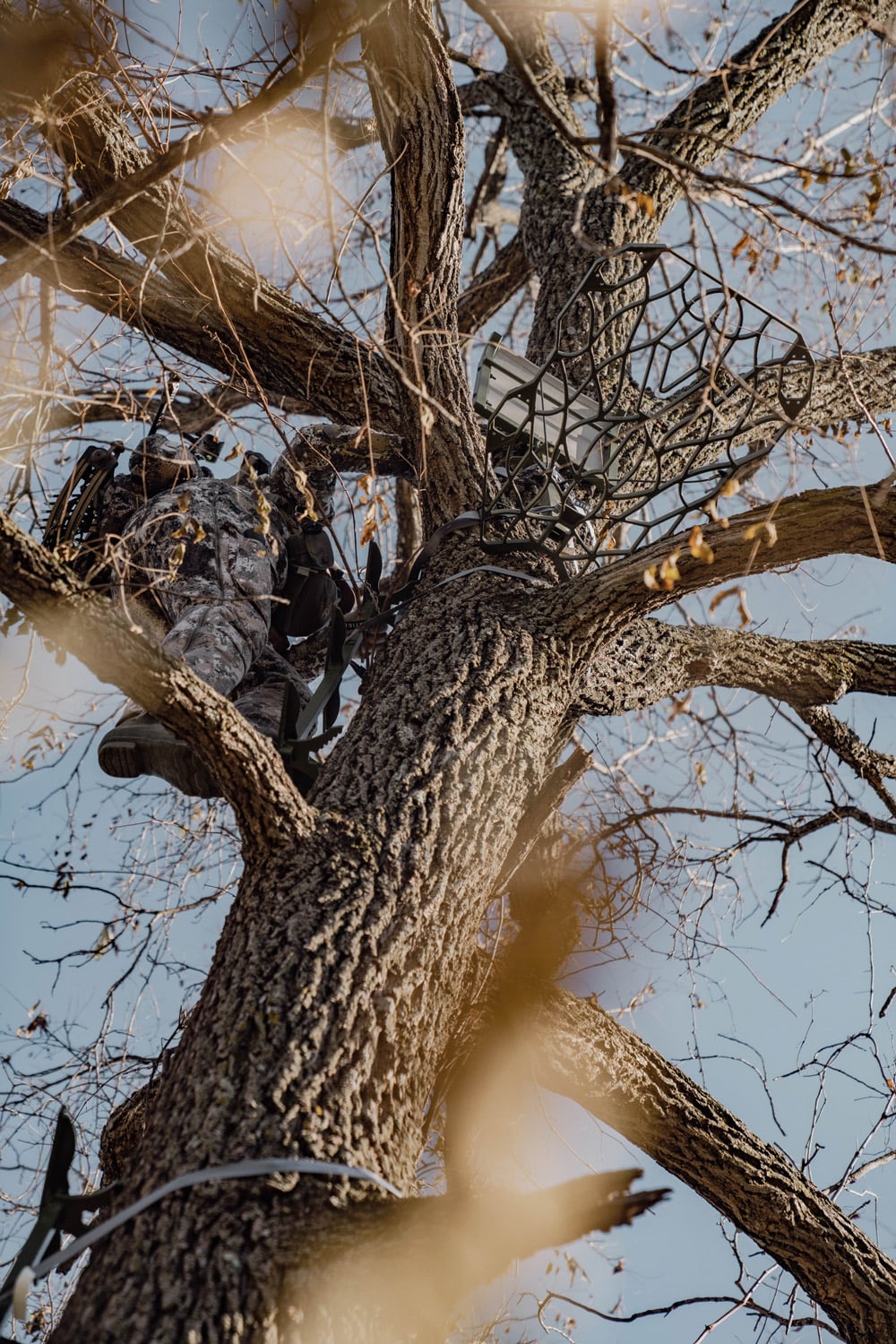 After the Rut is Over: Strategic Tips for Winter Whitetail