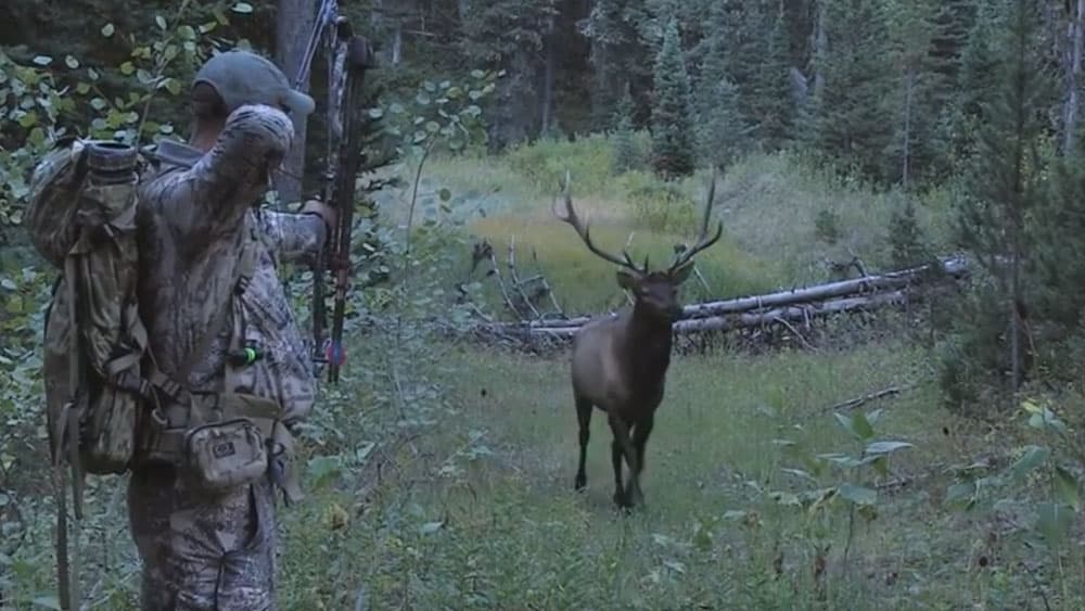 image/jpeg | Wyoming-Redemption.jpg