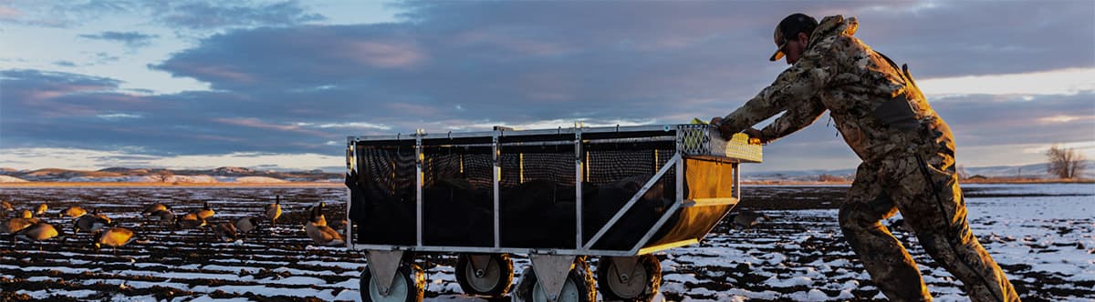Rolling out the cart into the goose spread