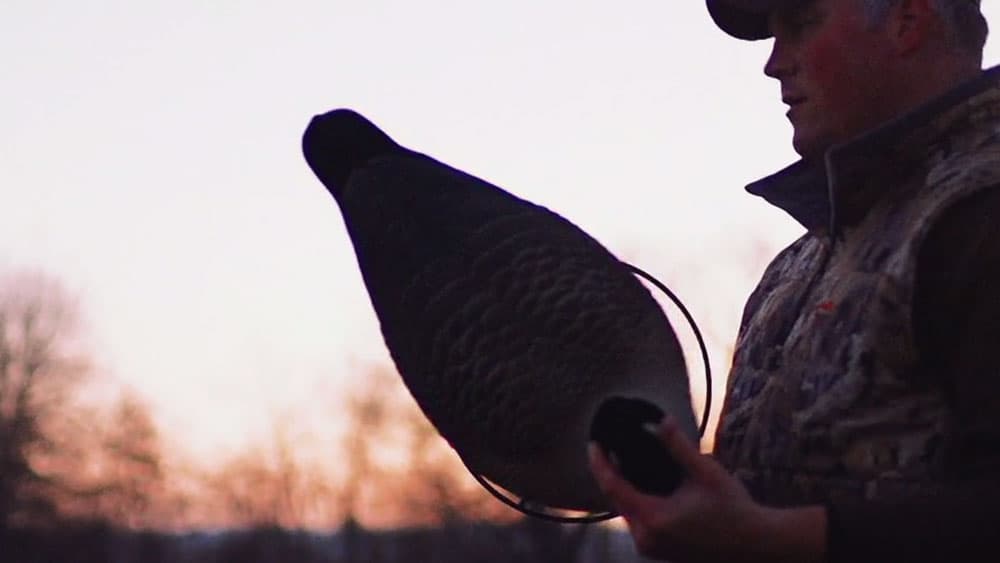 image/jpeg | DU-Films-Presents-Balancing-Act.jpg