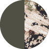 Cypress Green Subalpine